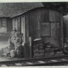 12_schuppen_1